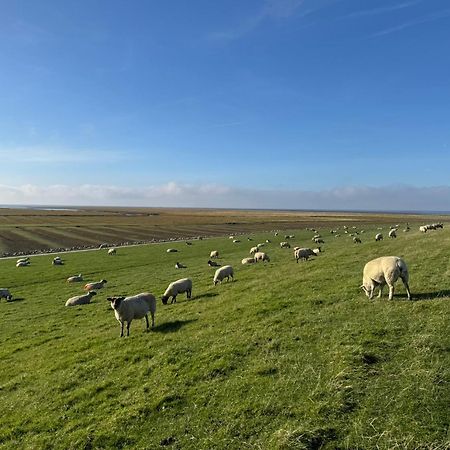 Nordseetraum - Ferienhaus Wolke Friedrichskoog Zewnętrze zdjęcie